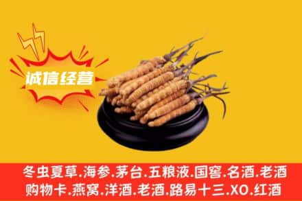 东营回收冬虫夏草